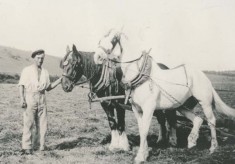 Farming images