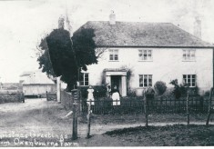 Photos