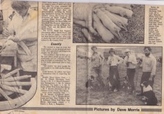 Newspaper clippings