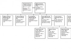 Pink family research