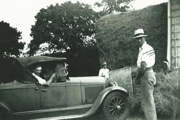 Ernest with George Munday 'sweeping'  hay with car