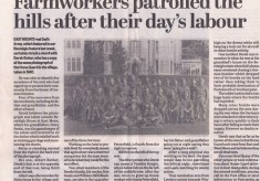 Newspaper clippings