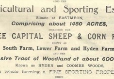 East Meon estates