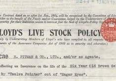 Lloyds Livestock Policy
