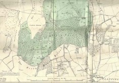 East Meon estates