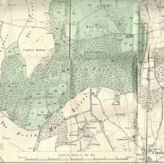 Map of Lot 16 (bottom) Map of Lot 16 (bottom)