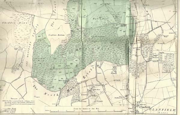 Map of Lot 16 (bottom)