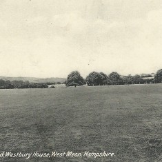Senior cricket ground.