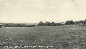 Senior cricket ground.