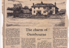 Newspaper clippings