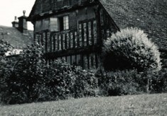 Woodfield photographs