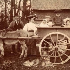 Unknown family with donkey cart Family with donkey cart