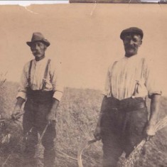 Farm labourers Whitear grandfather (Shep) on left