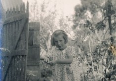 Woodfield photographs