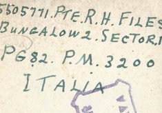 Margaret Files