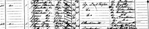 Detail of 1871 census showing Alexander family resident in Bordean.