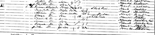 Extract from 1881 East Meon census