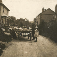 Appleberry (left) and Bottle Cottages in Workhouse Lane, 1920s, post card by Frank Newell of Alresford