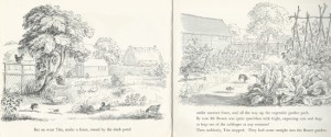 Vegetable garden