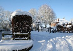 Village in snow, 2010