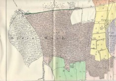 Leydene Estate Sale 1953