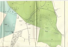 Leydene Estate Sale 1953