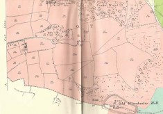 Leydene Estate Sale 1953