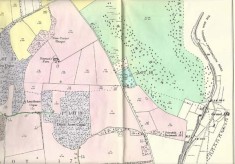 Leydene Estate Sale 1953