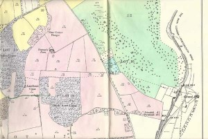 Ditch Acre Copse