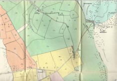 Leydene Estate Sale 1953