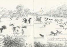 Judy Brook's books