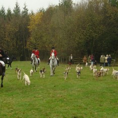 Foxhunt at Bereleigh, November 2004