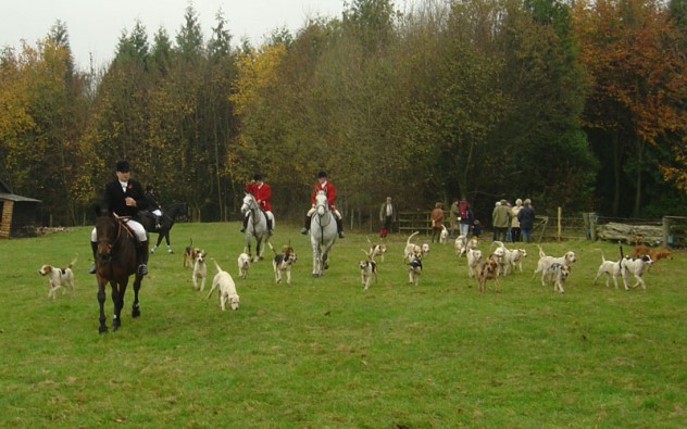 Foxhunt at Bereleigh, November 2004
