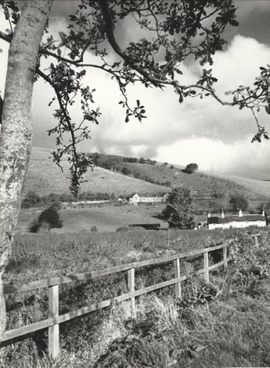 Old School and field, Frogmore cottages on right