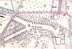 Map of Leydene Estate, pre-war. Work started on the Main House, designed by Mr Jupp FRIBA of London, in the Spring of 1914 and an area north of Leydene Bottom was levelled for the foundations.  The stone came from Belgium, shipped across the channel, then by rail to Havant and finally by lorry to the site.  The bricks were specially made by Rowland’s Brick Works. The Peel’s moved into the farm house at Coombe Cross to keep an eye on construction.  They stayed at the farm house for ten years.  However, the First World War brought a halt to construction, as the labourers, who were all local, were needed for war work and to expand the armed forces. 