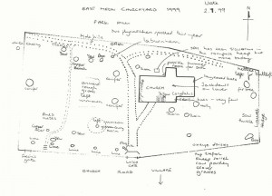 Sketch map, 1999, of fauna in churchyard