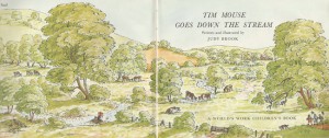 Title page Tim Mouse goes down the stream.