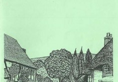 Guided walks