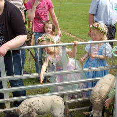 Fairies and lambs
