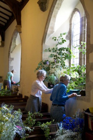 Flower Festival window arrangements