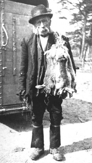 This is my Great-great-grandad, Walter. He was born in Kilmeston in 1865. I don’t know where he went to school. He later lived at Bordean Cross and Coombe Bottom, working as a shepherd. You can see he quite liked catching rabbits as well!
