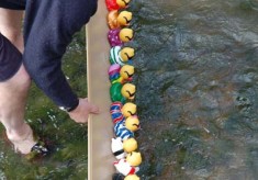 Duck Race and Beacon