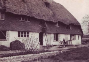 Thatching Hockley
