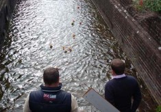 Duck Race and Beacon