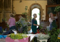 Flower Festivals