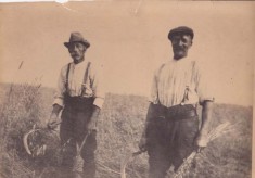 Farming images