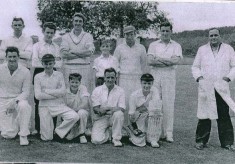 Cricket