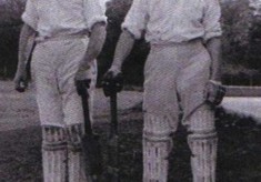 Cricket