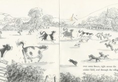 Cricket
