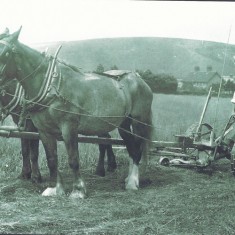 William Hope Lambert, photographed outside Pastures probably in 1914